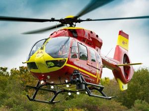 Supporting image for story: Man dies after falling from bridge on M5