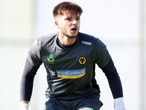 Supporting image for story: Matija Sarkic vows to fight for Wolves place