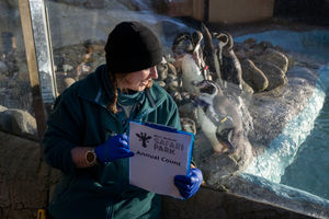 Some keepers have an easier job than others, depending on how active the animals are and how big the group is.