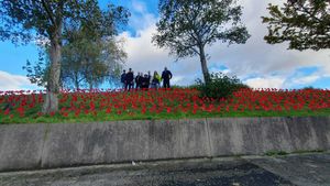 The final display is colourful and very striking along the side of the road. Photo: Amblecote news from Paul, Pete and Kamran