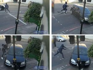 Supporting image for story