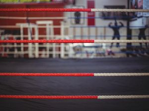 Supporting image for story: What’s it like to be a sparring partner?