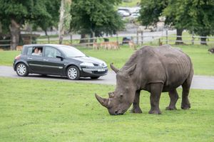 Supporting image for story