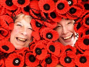 Supporting image for story: Aldridge to create 'Poppy Road' to remember town's fallen