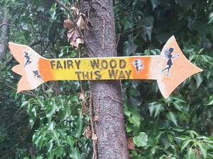 Supporting image for story: Lawley's 'fairy woods' to be removed after landowners object