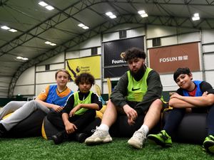 Supporting image for story: Wolves Foundation column: Getting back to work in the summer holidays