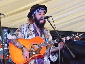 Supporting image for story: Hundreds turn out for WolvesFest - in pictures