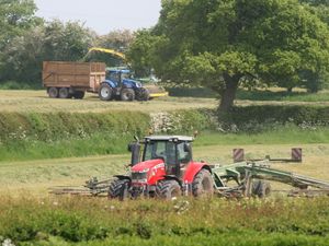 Supporting image for story: Sigh of relief as farmers see crops grow and silage cut 