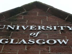 Supporting image for story: Researchers utilise AI to improve bowel cancer screening