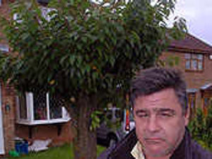 Supporting image for story: Home threat over tree case