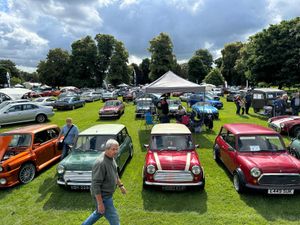 Supporting image for story: Cars In The Park returns to Lichfield for 28th year