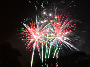 Supporting image for story: The 'quiet' firework display taking place for Oswestry Bonfire Night 
