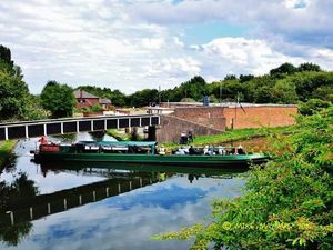 Supporting image for story: Choosing picture control #photography