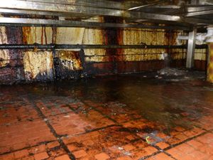 Supporting image for story: See inside Walsall takeaway where inspectors found mouse droppings and no running water