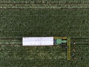 Supporting image for story: ‘Government undermining food security by not supporting farmers’