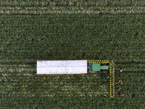 Supporting image for story: ‘Government undermining food security by not supporting farmers’