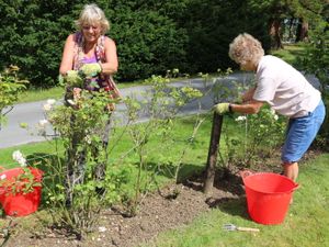 Supporting image for story: Volunteers dig to spruce up historic gardens