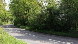 The planning inspectorate has granted permission for a battery farm at Illey Lane, Halesowen - after Dudley Council had refused the scheme