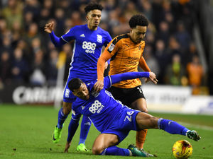Supporting image for story: Blues vs Wolves: The inside track on Steve Cotterill's side