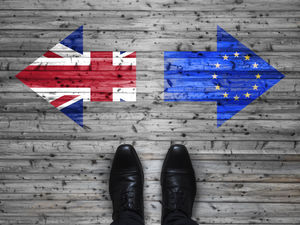 Supporting image for story: LETTER: A murky future 