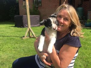Supporting image for story: Shrewsbury teacher and Nym the dog walk 26,000 steps in bowel cancer fundraiser