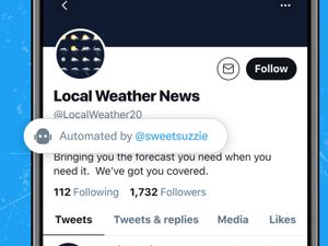 Supporting image for story: Twitter introduces label for bot accounts