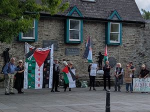 Supporting image for story: Silent vigil for the people of Gaza held in Knighton on Saturday