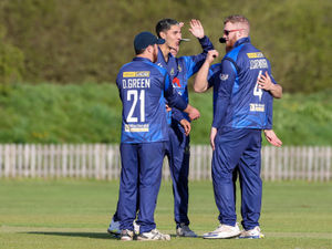 Supporting image for story: Wolves return to top flight with win