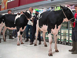 Supporting image for story: Minister in vow to help farmers