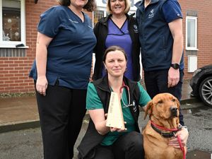Supporting image for story: Shrewsbury vet practice honoured in veterinary awards