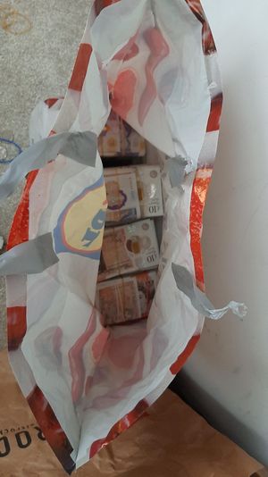 Cash seized in the flat