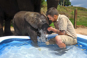 West Midlands Safari Park