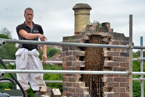 Rob Davies of PestForce with the bee colony in the Bridgnorth chimney