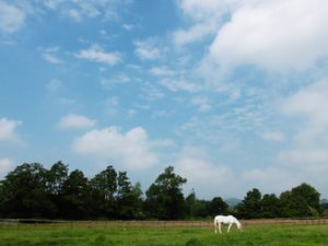 Supporting image for story: Shropshire weather: Met Office forecasts a cold front to bring an end to the heat - here's when