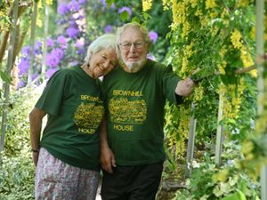 Supporting image for story: Quirky hillside garden near Shrewsbury 'with a surprise around every corner' opens up for charity this weekend
