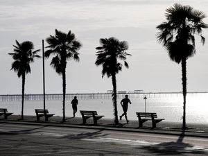 People run between palm trees beside the sea