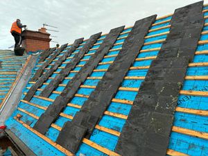 The roof at the Ark is undergoing essential maintenance.