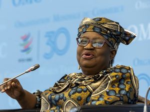 Supporting image for story: Second term for WTO chief as Trump’s return looms over trade body’s future