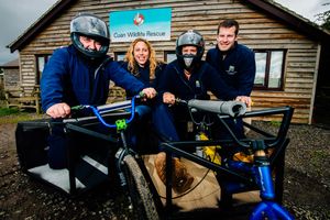 Supporting image for story