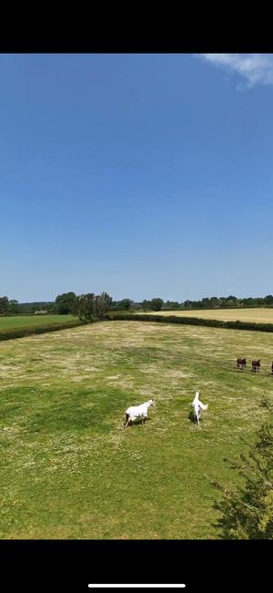 Some of Natasja's work for Airbnb