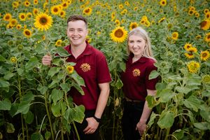Little Wytheford Farm near Shawbury has for the second year opened their gates to their Sunflower Farm after the huge success from last year. They had planted over three million sunflower seeds. In Picture: Amelia Davies and Simon Davies