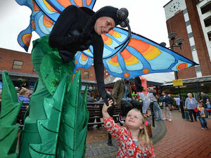 Supporting image for story: Video and gallery: Cannock Carnival brightens up town