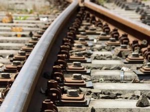 Supporting image for story: Delays for Shropshire and Mid Wales passengers after train hits fallen tree 