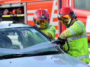 Supporting image for story: Fire service calls to help trapped animals and remove 'stuck objects' increase