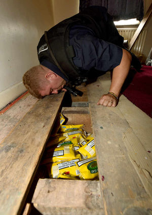 Dog handler Stuart Phillips looks for more hidden illicit tobacco under the floorboards