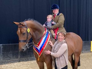 Supporting image for story: Shropshire farmer wins 'SEIB Search for a Star' at Horse of the Year Show 