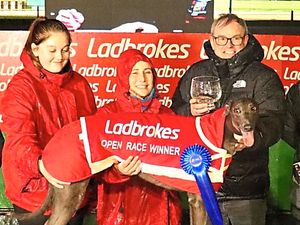 Supporting image for story: Open season and hares are running