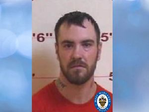 Supporting image for story: Sex offender wanted on recall to prison by Wolverhampton police