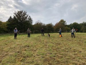 Supporting image for story: Award-winning park near Bridgnorth looking for volunteers