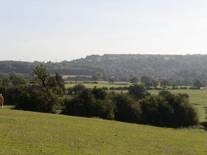 Supporting image for story: Save our Seven Cornfields petition reaches 5,000 signatures 